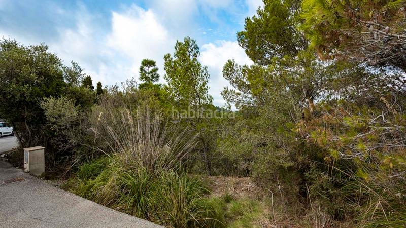 Foto 68e7806d-7919-4874-b00d-0609d10ccfba. Landgut in Puigpunyent