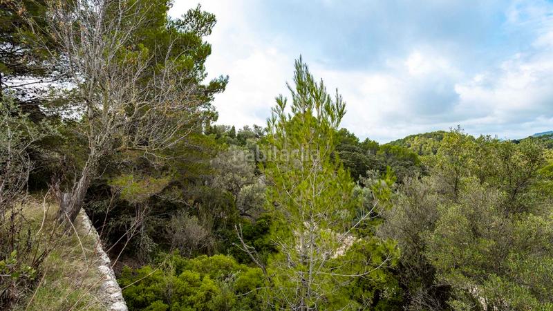 Foto a8f8229c-99e4-4c5e-8796-36784c6fa5a1. Landgut in Puigpunyent