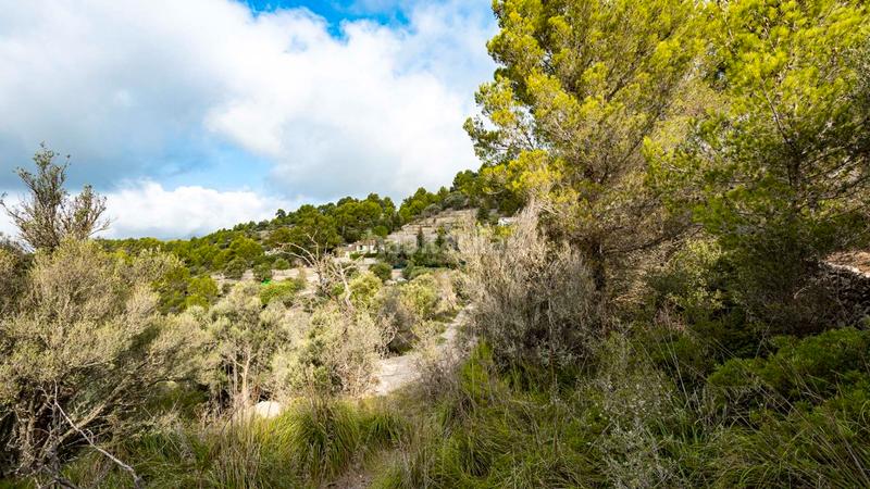 Foto afcac4c4-f626-45a8-b72d-bba3234b8518. Landgut in Puigpunyent