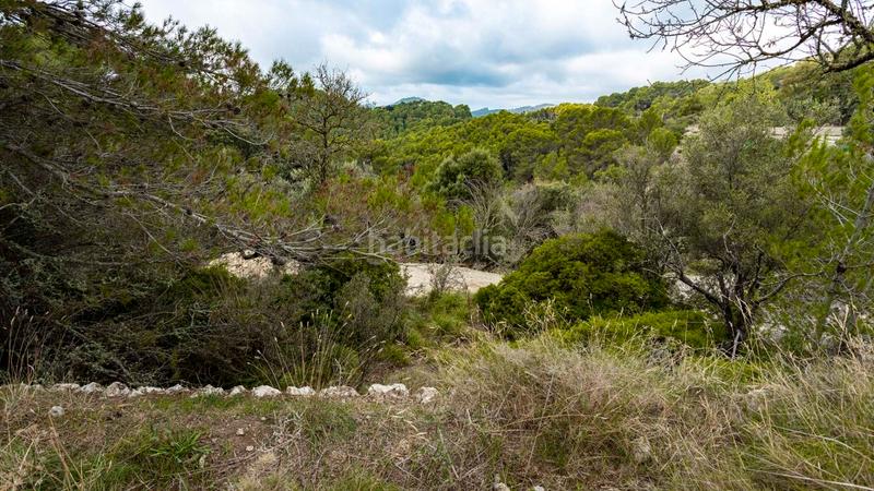 Foto beb84f92-49d8-438e-82ed-7195ba669bbc. Landgut in Puigpunyent