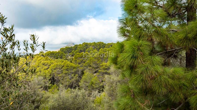 Foto bfd69e97-bb5c-4889-95de-f826cf227a14. Landgut in Puigpunyent