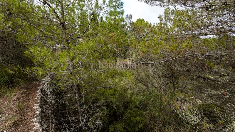 Foto cc81705d-6c4e-4c61-b374-cc57ce166f9a. Landgut in Puigpunyent