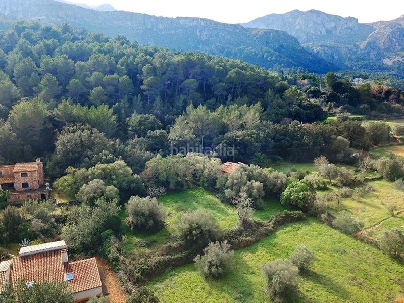 Foto 142be7e0-84e2-4546-8f37-9bb1c6ad8cc7. Mas dans Pollença poble Pollença