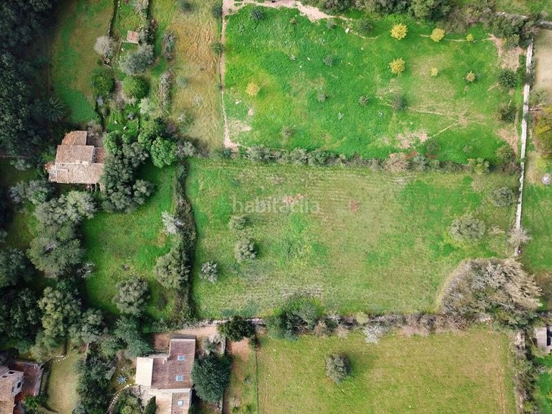 Foto b12b04c7-2f6e-48f8-b9fe-1867993caf84. Mas dans Pollença poble Pollença