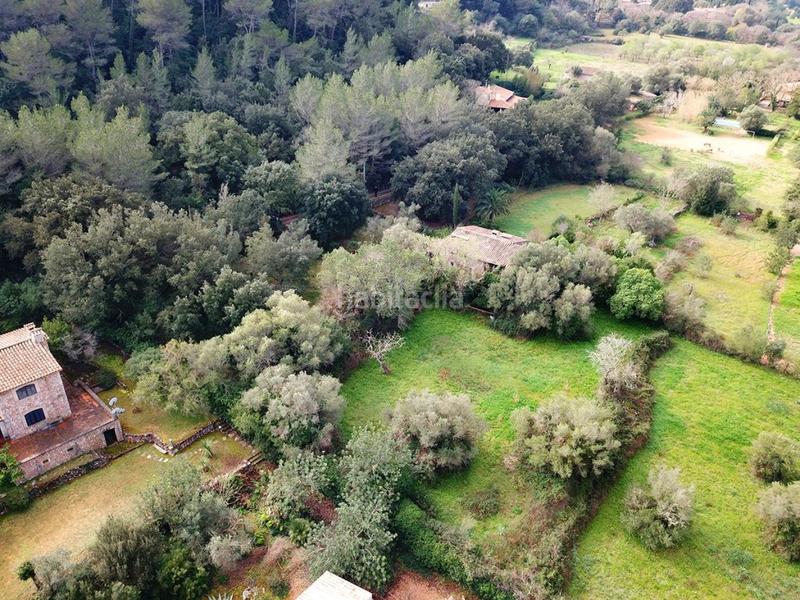 Foto d13346c7-c497-44bf-94e7-fb9637f31251. Mas dans Pollença poble Pollença