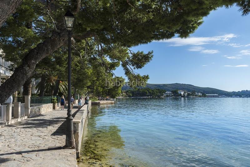 Foto ebf1f78e-bf87-4c02-a55d-af2dad451d30. Mas dans Pollença poble Pollença