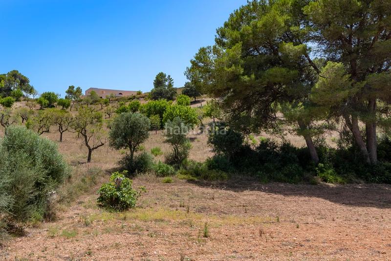 Foto 33feeb9d-2d8e-4d55-99cc-dc0ae29dc294. Masia amb aparcament a Felanitx poble Felanitx