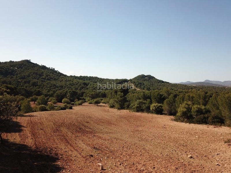 Foto 5b792ce7-c9b9-43cb-a2b3-73a51db3078b. Finca rústica a Manacor centre Manacor