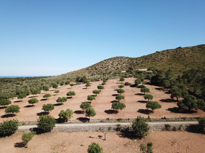 Foto c832e2b5-661c-4f9f-b33a-65f28ccb0418. Finca rústica a Manacor centre Manacor
