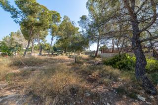 Rural plot in Cala Vinyes. Solar residencial con proyecto y licencia en venta en cala vinye