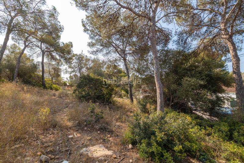 Foto 5681a0ba-5d65-4119-8b44-22b0a318f575. Landgut in Cala Vinyes Calvià