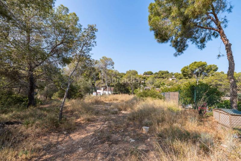 Foto 60a77e9a-044a-41ed-b86a-117220595cc6. Landgut in Cala Vinyes Calvià