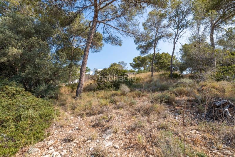 Foto d2d46515-a89a-48b3-b648-94457344e4d3. Landgut in Cala Vinyes Calvià