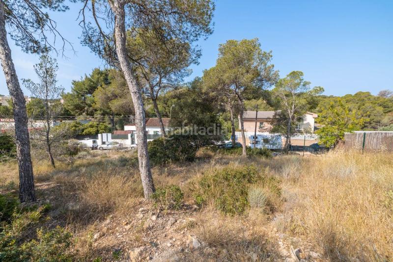 Foto fcb08fa1-85f8-47a9-9d1b-7b18655988da. Landgut in Cala Vinyes Calvià