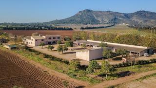 Country house in Zona Periurbana. Posesión mallorquina con gran parcela y gran potencial de invers