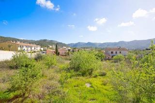 Rural plot in Calvià Poble. Terreno en calvià, mallorca