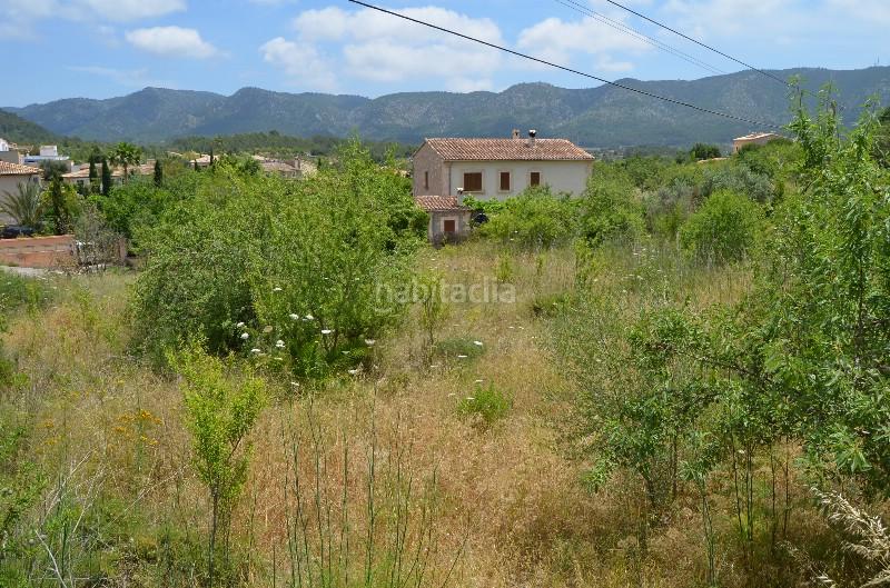 Foto c55d5576-30af-4df3-8236-d5d9fc05cf82. Finca rústica terreno , mallorca en Calvià poble Calvià