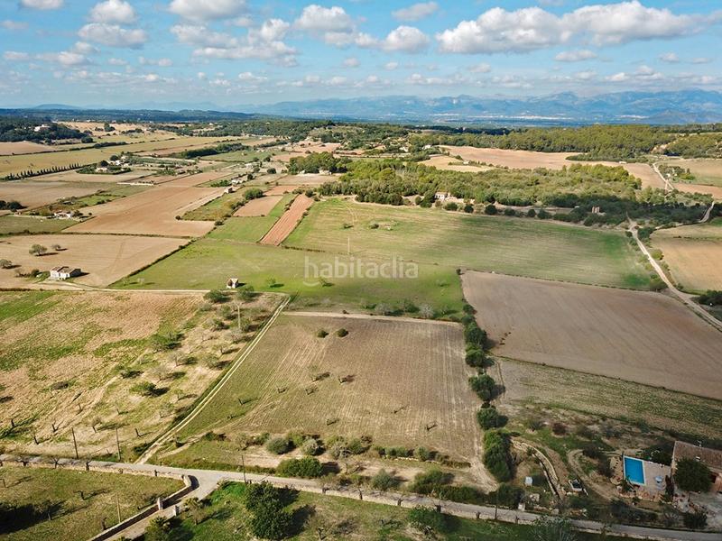 Foto a45a4c10-47ab-4a96-8a09-79e2f3eb7724. Finca rústica a Sineu