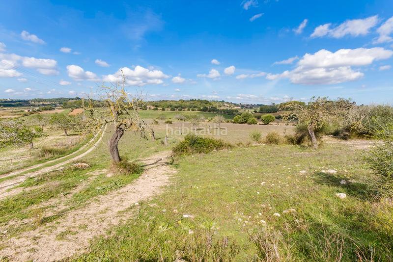 Foto ad1791cd-7d0f-4ce1-9785-76579c94ccc5. Finca rústica a Sineu