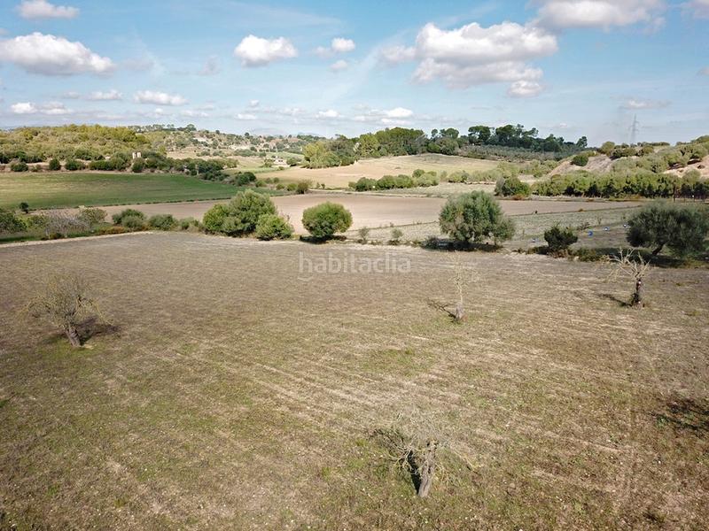 Foto bf5d6917-2d35-42d8-9978-db09a0eefb76. Finca rústica a Sineu