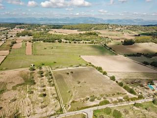 Rural plot in Sineu. Parcela rural tranquila con vistas panorámicas en venta en sineu