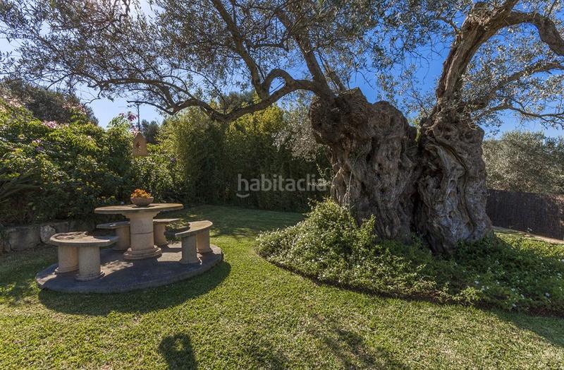 Foto bf2fd50c-8a72-4d1f-8982-21831d41244a. Masia amb piscina a Pollença poble Pollença