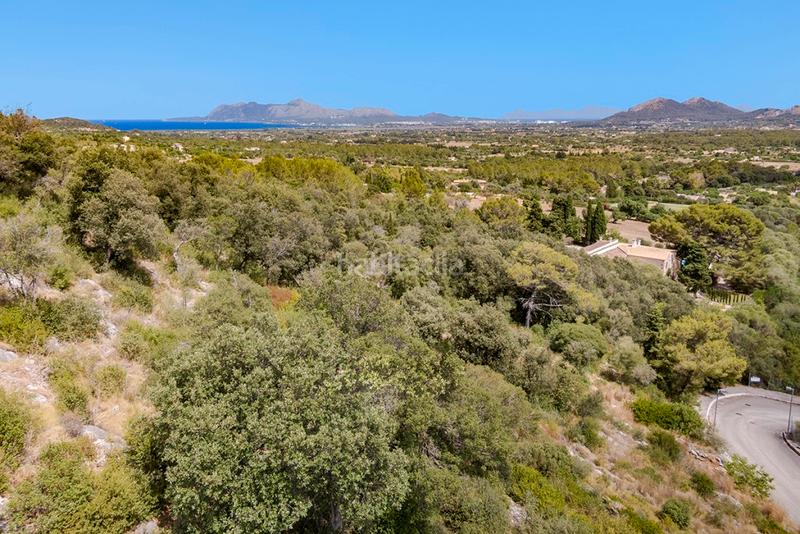 Foto 0cb779e1-72f2-4c91-af7d-c64e56b84b7f. Propriété dans Pollença poble Pollença