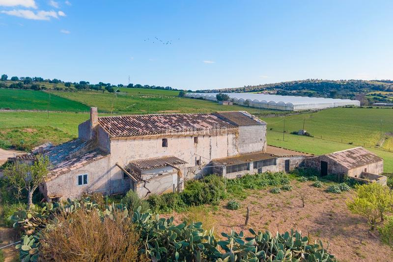 Foto 5ae1d24a-b2dd-41e9-a2ce-3756cb3d0511. Casale con parcheggio in Manacor centre Manacor