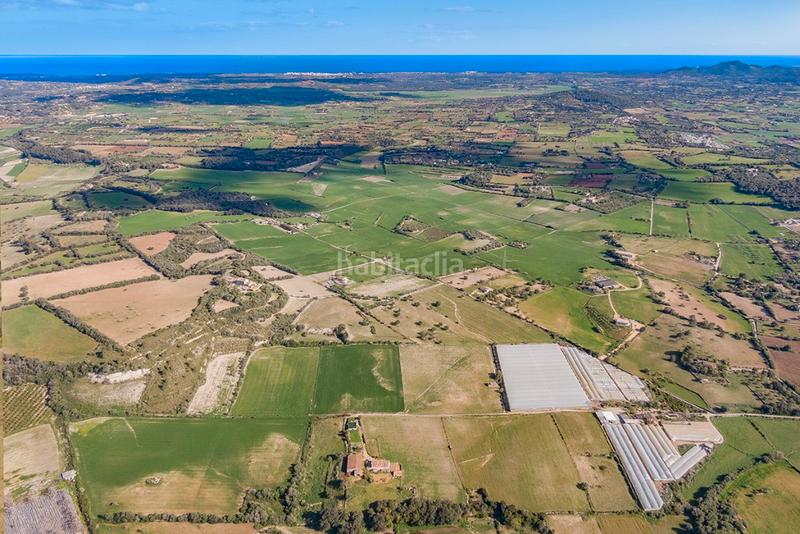 Foto 8c96b20c-ffd0-4cce-adc6-8cf2261ce8a1. Casale con parcheggio in Manacor centre Manacor