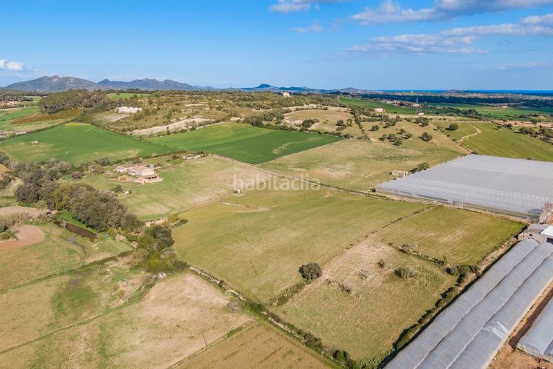 Foto bf7ea578-89bc-42e1-968b-de4a76ed4944. Casale con parcheggio in Manacor centre Manacor