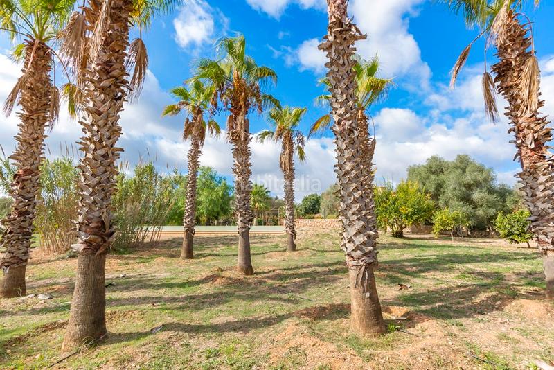 Foto 1fc35847-db88-45d4-b186-f147a092b73f. Mas avec chauffage parking piscine dans Manacor centre Manacor