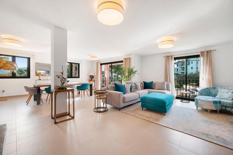 Foto 7c98936a-a120-46c8-bf43-00fc81e1dd69. Piccolo appartamento con parcheggio piscina in Es Camp de Mar Andratx