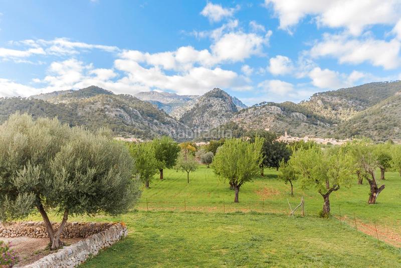 Foto 467a4417-a7f7-45dc-a027-ebb80b22d732. Casale in Selva