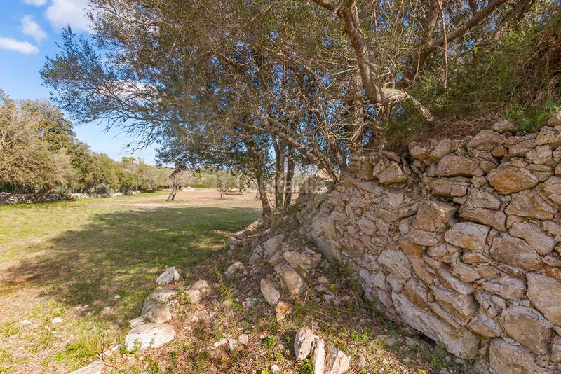 Foto 97900007-d73c-4fa9-a94e-430b3a220d1e. Finca rústica parcela con vistas al mar y licencia de construcción en venta cerca del campo de golf de pollensa, mallorca en Pollença