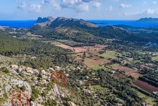 Rural plot in Pollença Poble. Parcela en venta en pollensa, mallorca