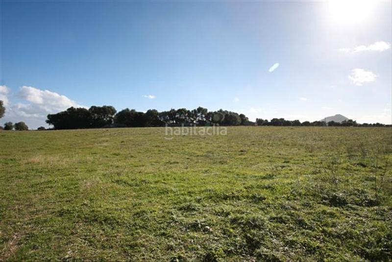 Foto 255ff640-ca9e-4c10-8420-67ed7d670345. Propriété dans Pollença poble Pollença