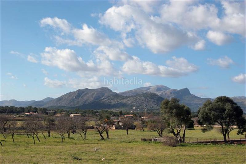 Foto beaa9b8a-c7b8-4104-81d7-96a7672b67fa. Propriété dans Pollença poble Pollença