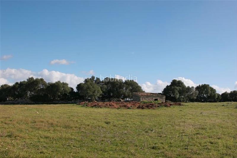 Foto cfe70d01-c35c-4b03-aa76-c26e00a575d7. Propriété dans Pollença poble Pollença