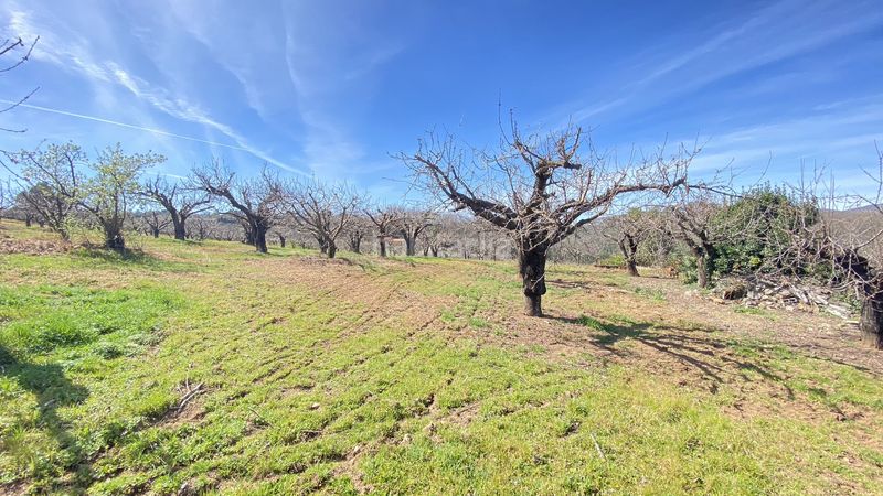Foto 0f7d4d5e-206f-4b8c-9a07-debe7f254c83. Finca rústica a Jaraíz de la Vera