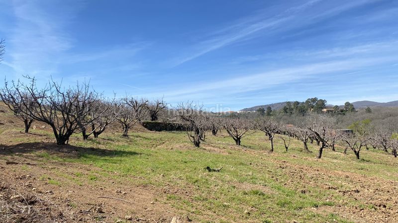 Foto 566e8c08-45fa-46c7-9319-f2c8c88e2a99. Finca rústica a Jaraíz de la Vera