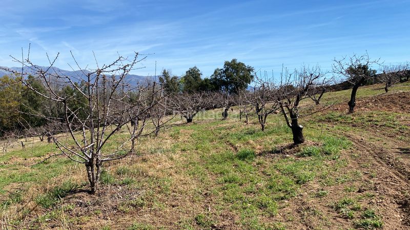 Foto 5c391c31-aae1-4040-93e1-de790b013e7c. Finca rústica a Jaraíz de la Vera