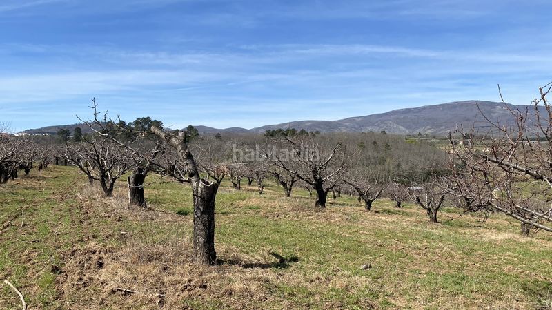 Foto 6988a199-b353-4c01-a2ed-78fefb664e44. Finca rústica a Jaraíz de la Vera
