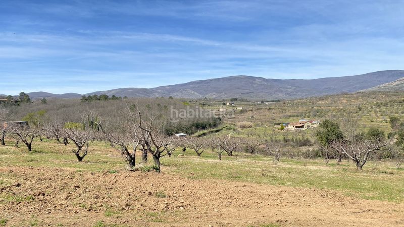 Foto b79f0e3f-a7f1-49da-83b1-36dc298a1b6f. Finca rústica a Jaraíz de la Vera