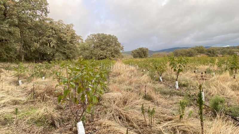 Foto 0acf9301-b7a8-479d-899f-5e0e8b0f1382. Finca rústica a Gargüera