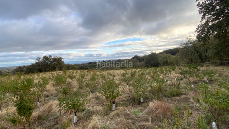 Foto 535c23d3-2446-4032-b68f-1e3386b29585. Finca rústica a Gargüera