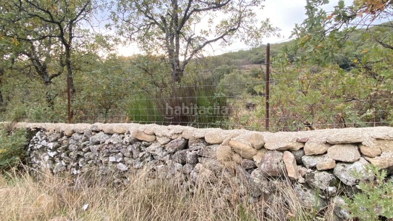 Foto c6bfa8a9-3d7f-4d6c-bf03-ccee20a75611. Finca rústica a Gargüera