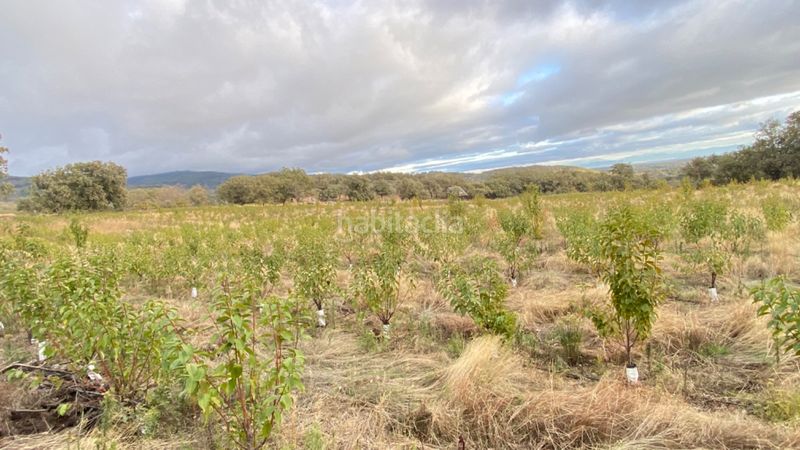 Foto ce27ef8a-5288-4521-b755-4d21a0715347. Finca rústica a Gargüera