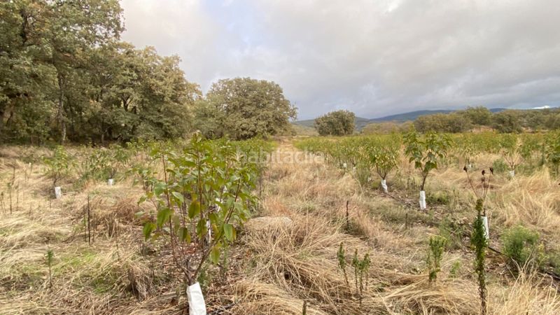 Foto d4cc4465-c230-4ee8-9dff-bbf7e9e3b3d8. Finca rústica a Gargüera