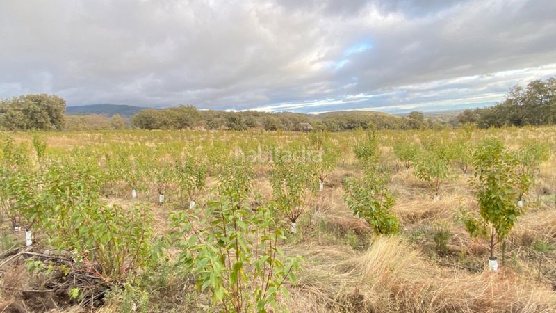 Foto e820c702-417f-487e-ac53-e4417799636e. Finca rústica a Gargüera