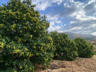 Finca rústica a N/A